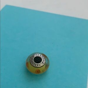 Pandora bracelet charm